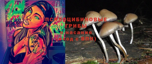 гидра Касимов