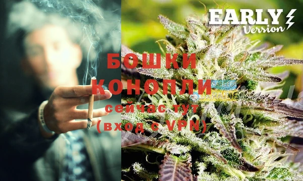 гидра Касимов