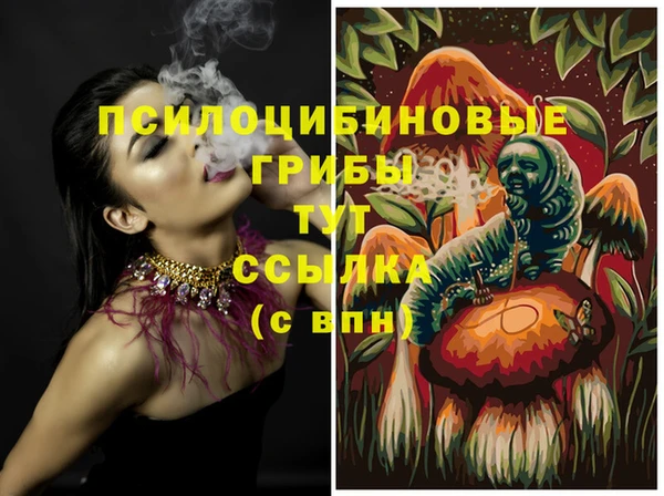 гидра Касимов