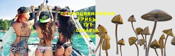 круглые Лагань